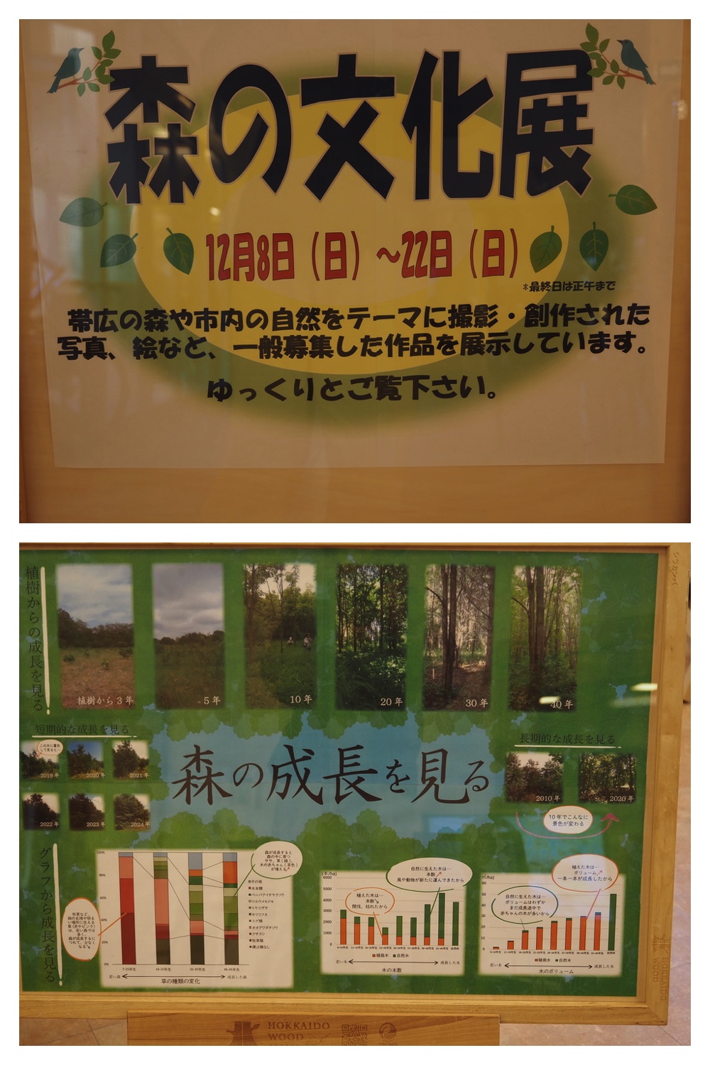 2241208_Hagukumu_1