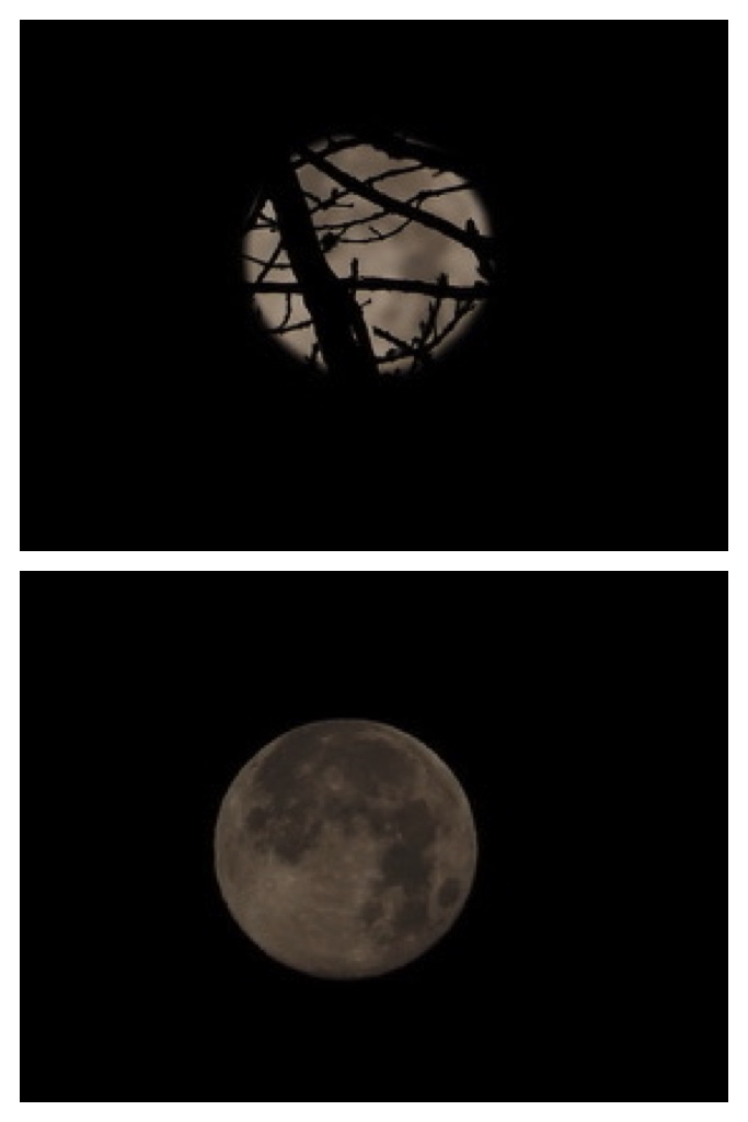 241216_Cold-moon