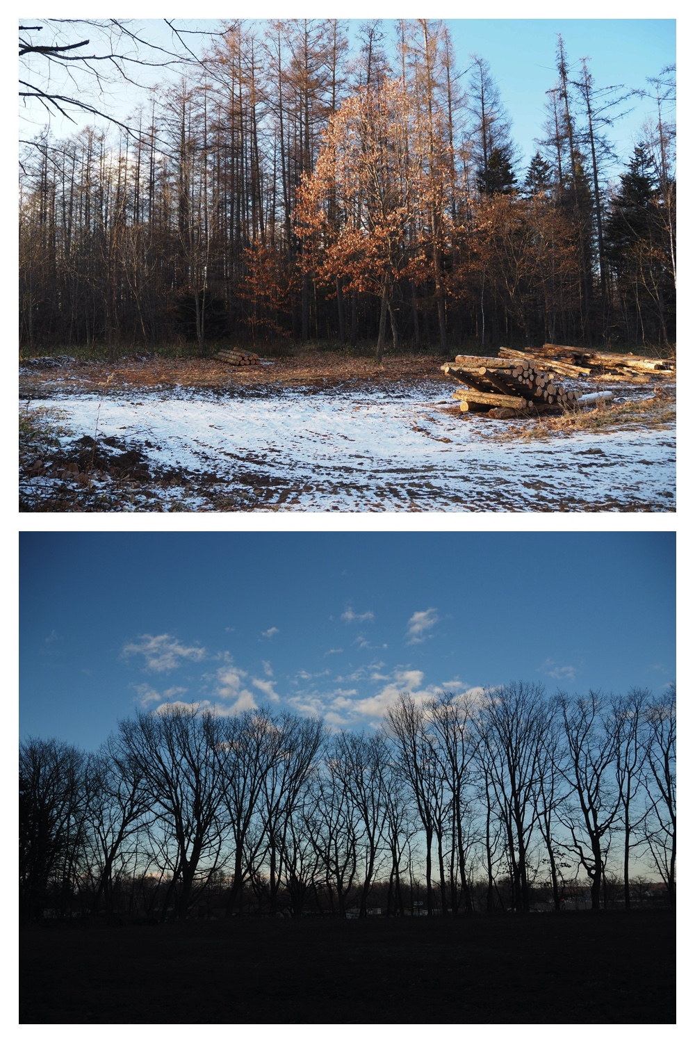 241216_Walk_2
