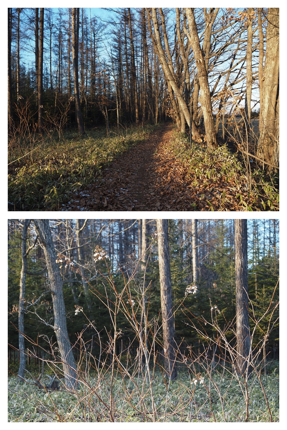 241216_Walk_3