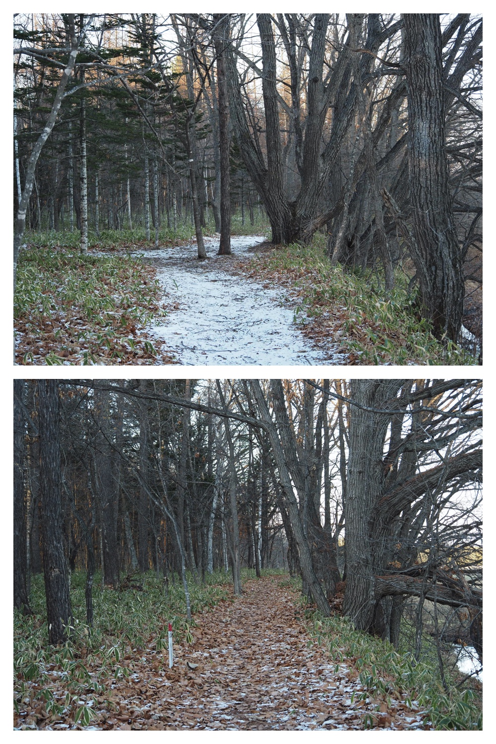241216_Walk_4