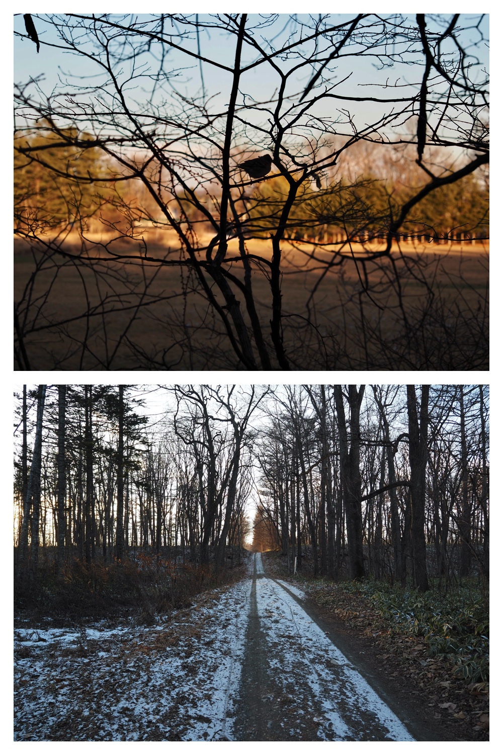241216_Walk_5
