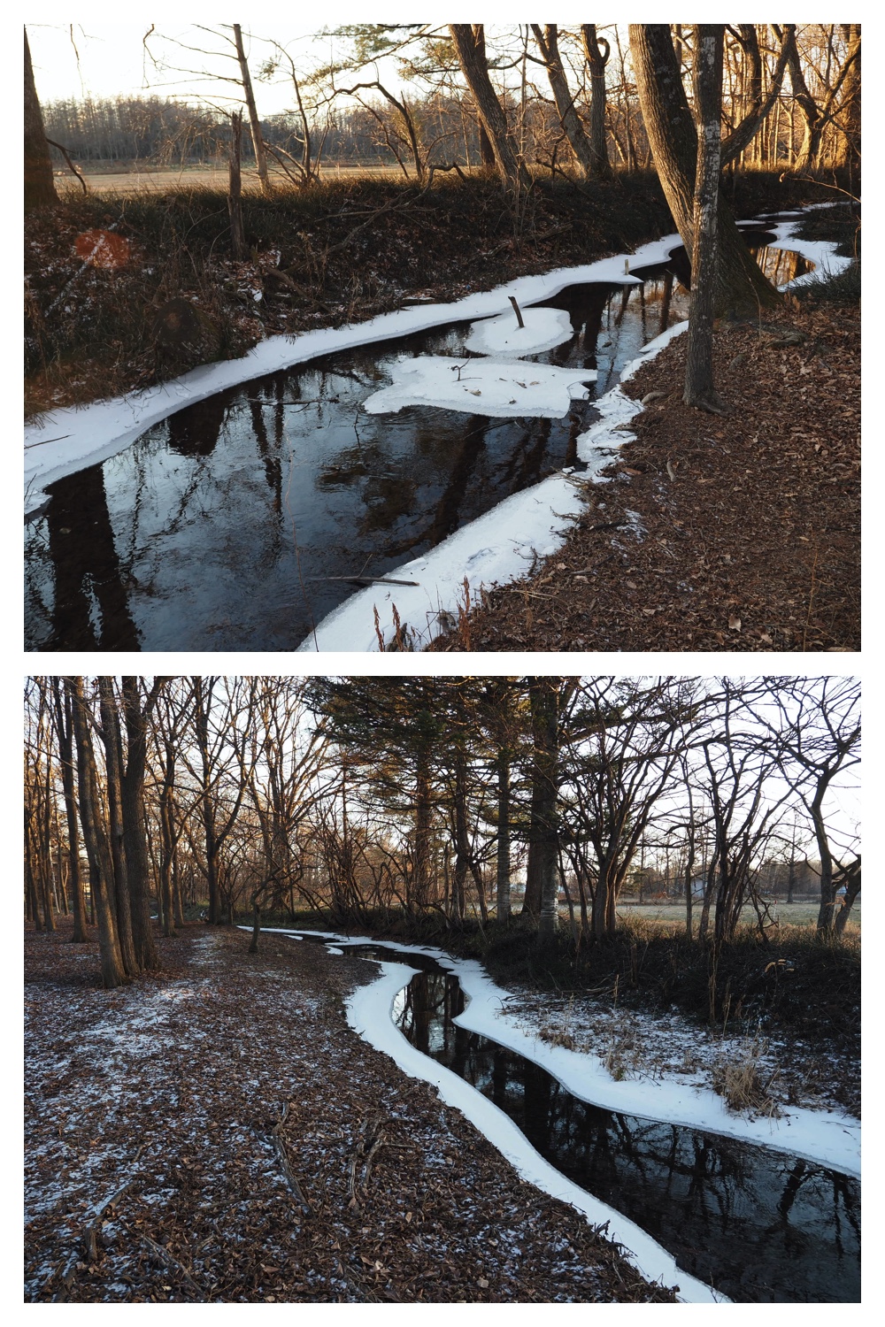 241216_Walk_8