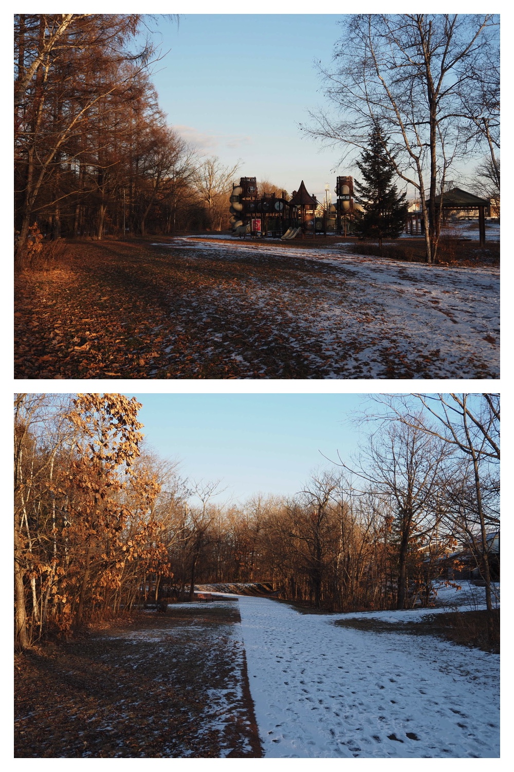 241223_Evening-walk_1