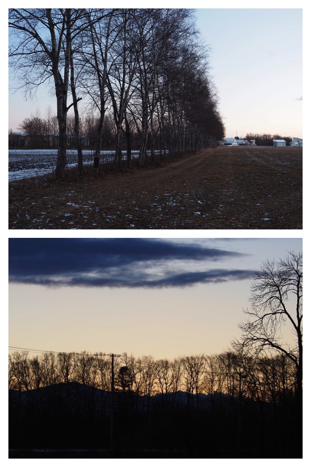 241223_Evening-walk_10
