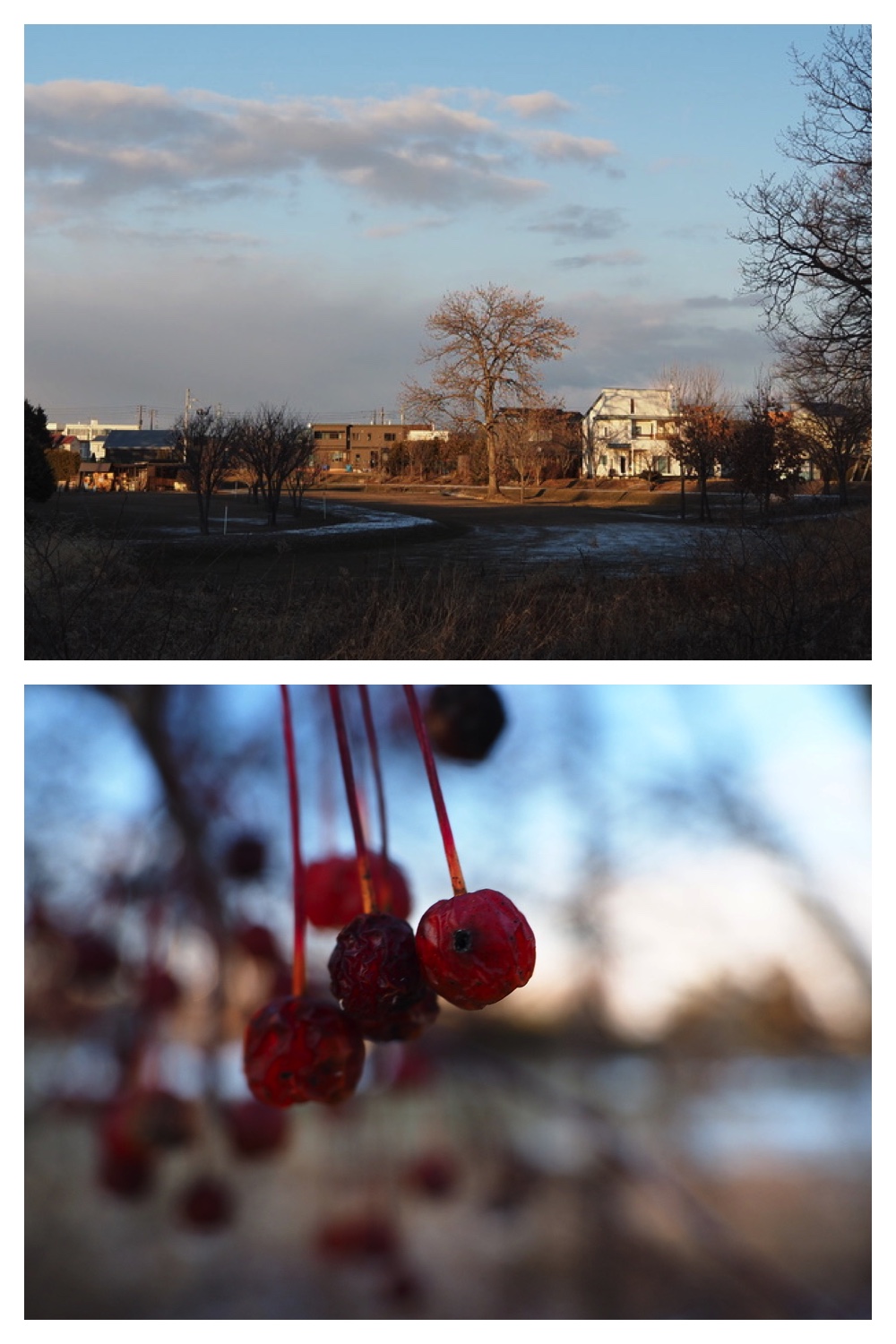 241223_Evening-walk_2