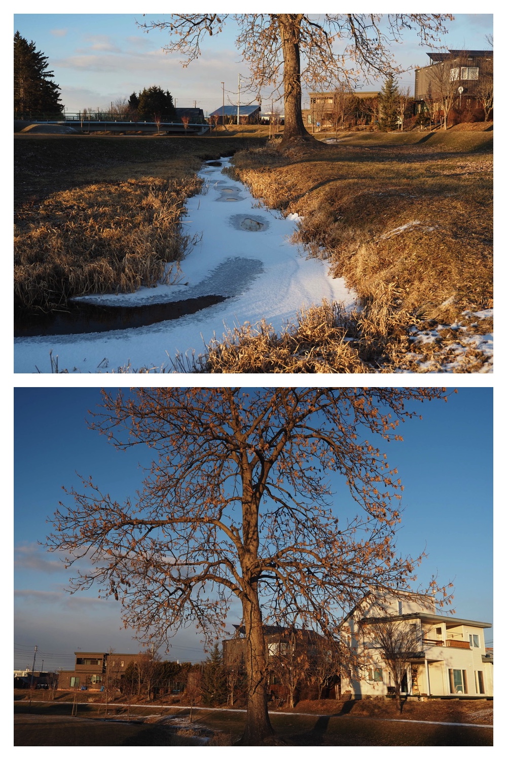 241223_Evening-walk_4