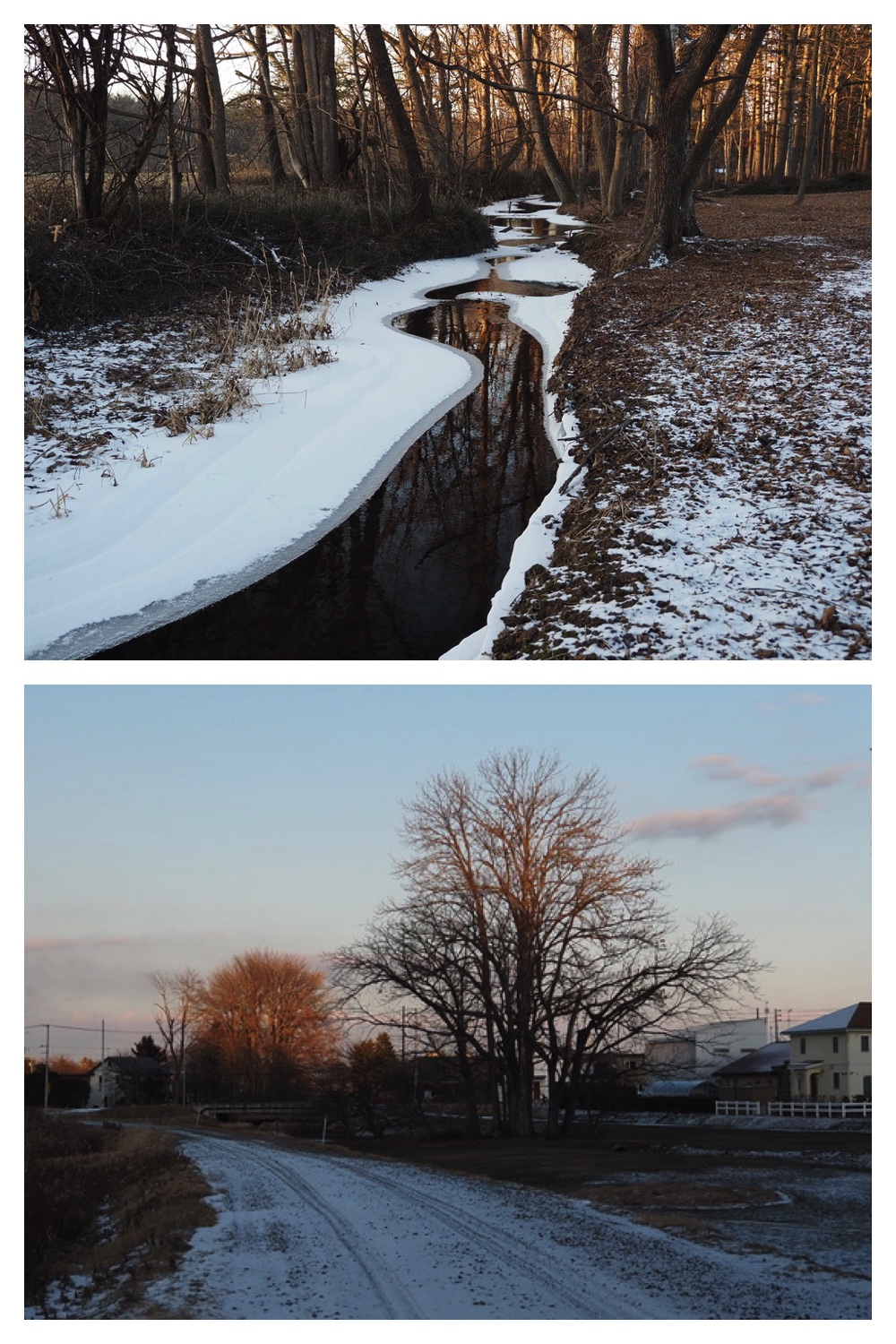 241223_Evening-walk_5