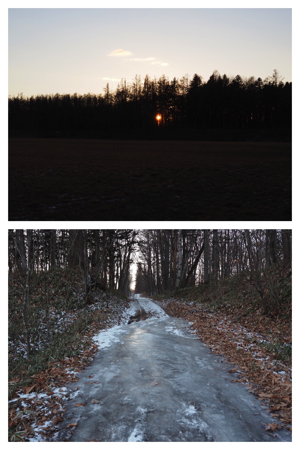 241223_Evening-walk_6