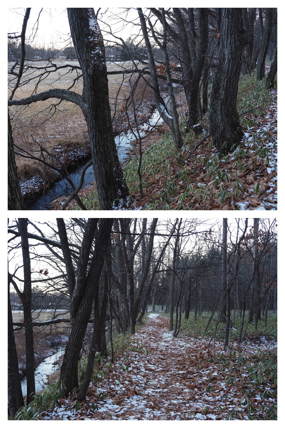 241223_Evening-walk_7