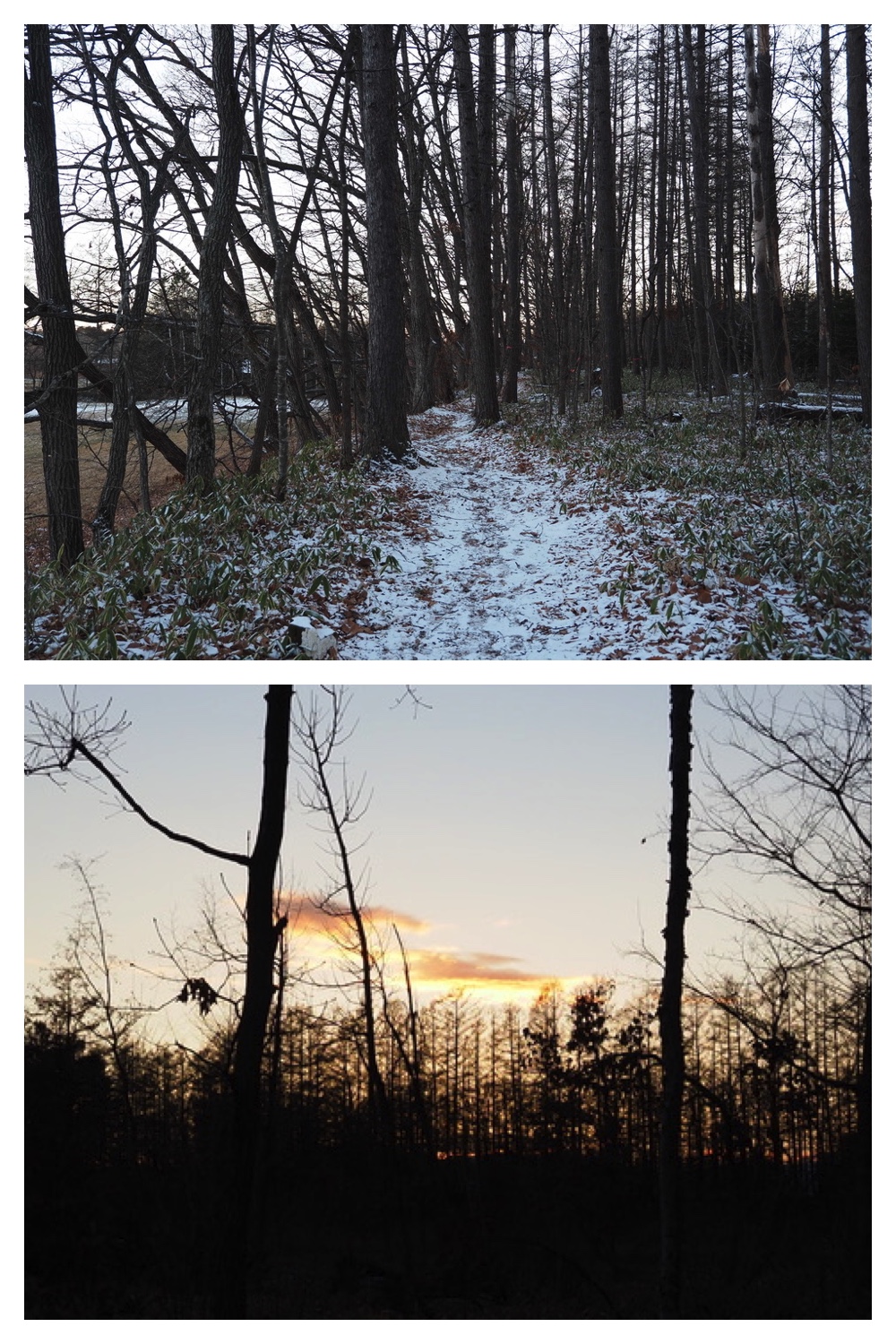 241223_Evening-walk_8