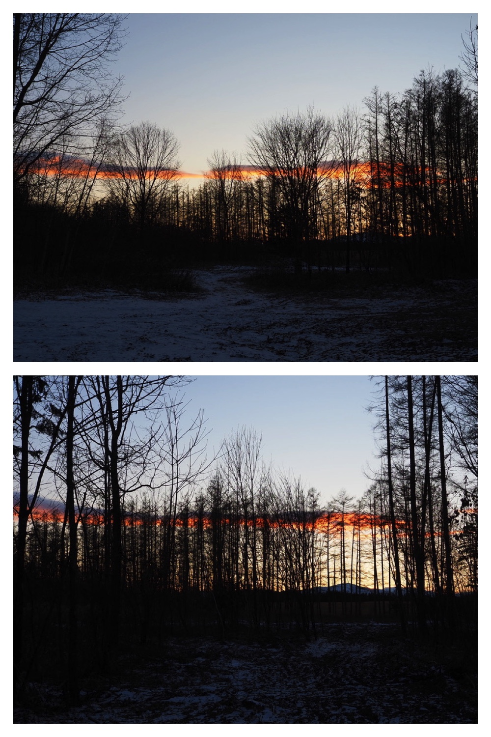 241223_Evening-walk_9