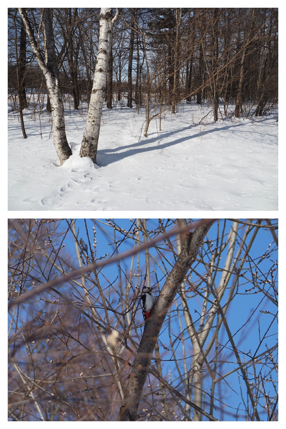 240304_Kikanko_2