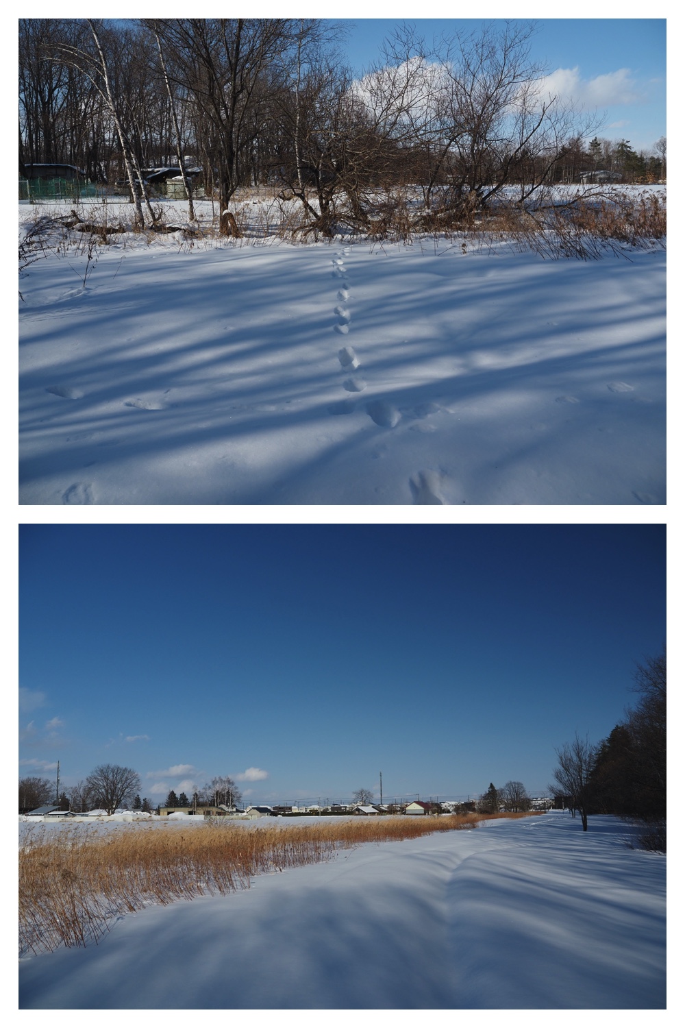 240304_Kikanko_9