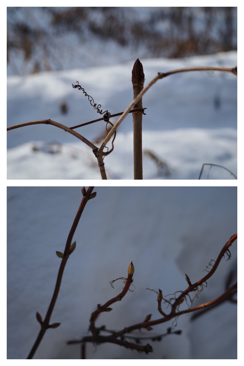 240202_Uso_4