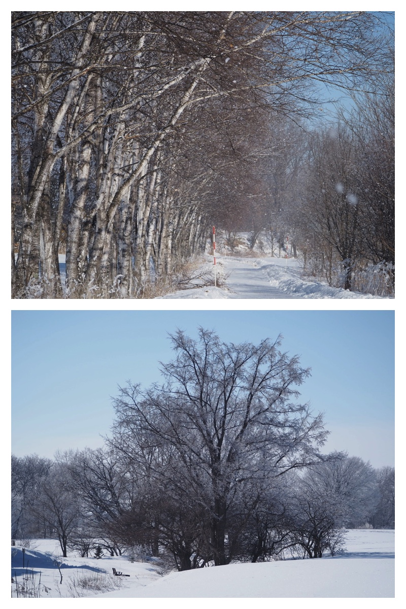 240205_frost_13