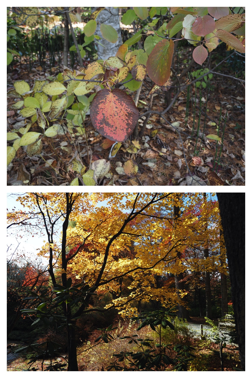 241103_Manabe_9