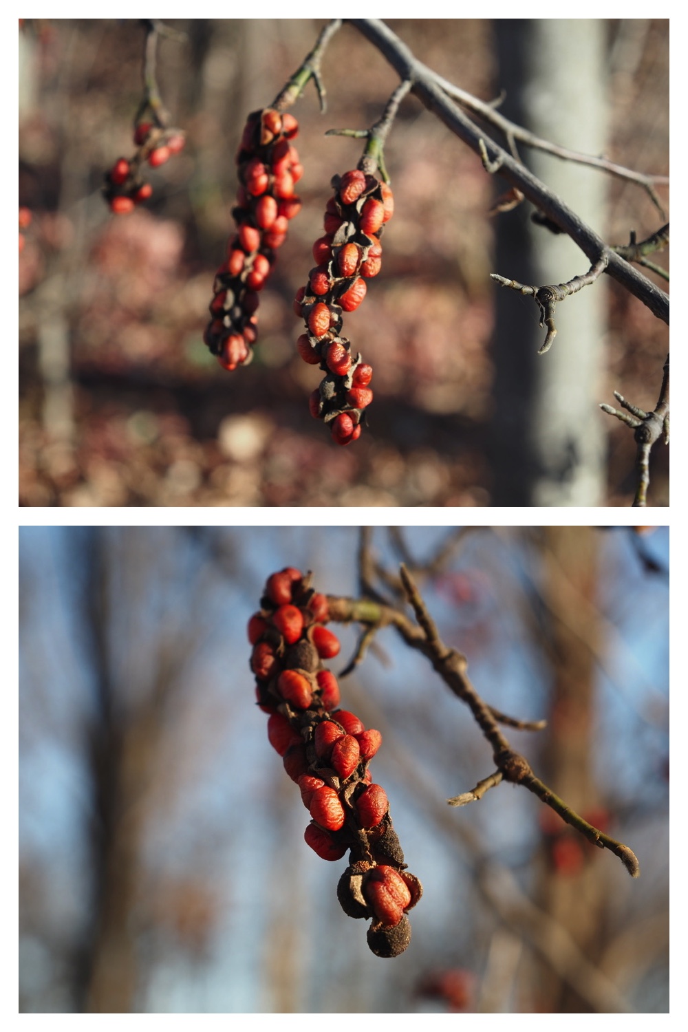 241113_Walk_3