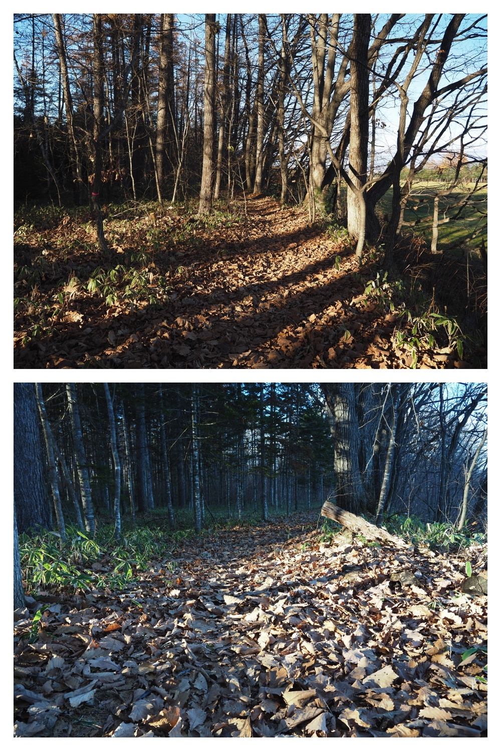 241113_Walk_5