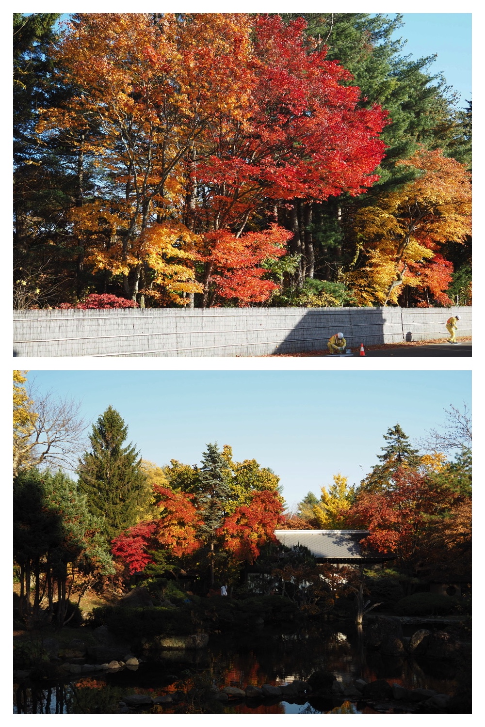 241025_Manabe_1