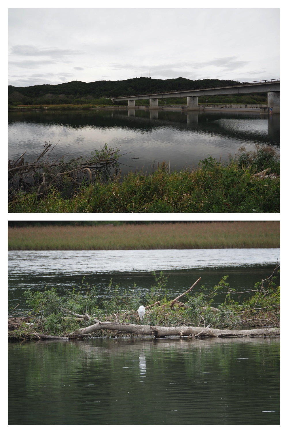 240921_Tokachigawa_14