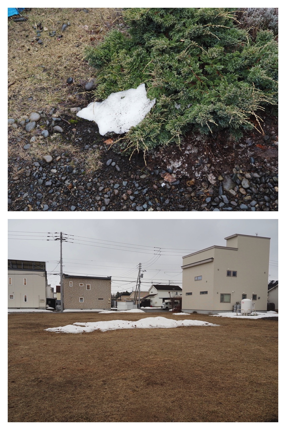 250403_Fukinotou_1
