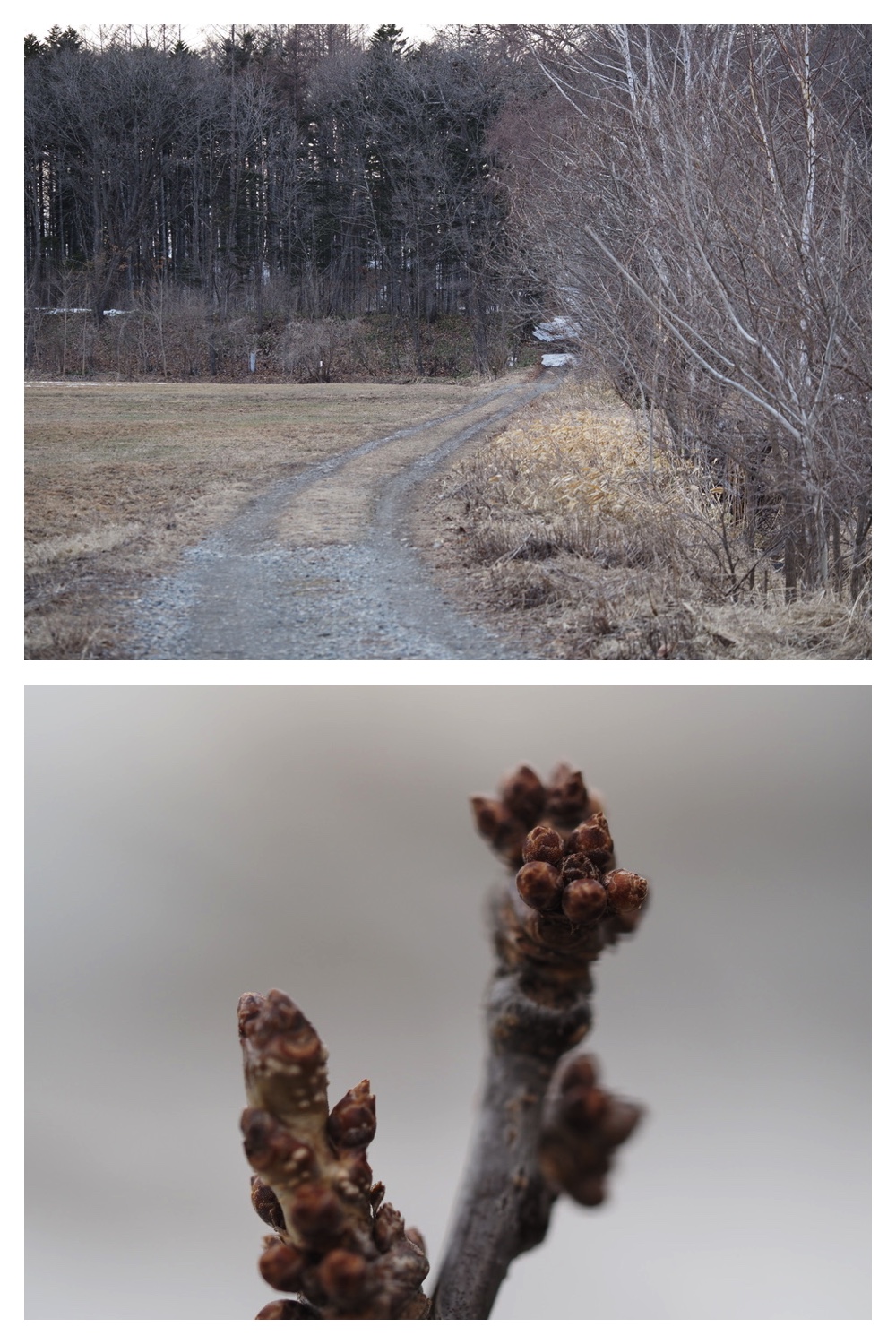 250404_Mcro-lens_2