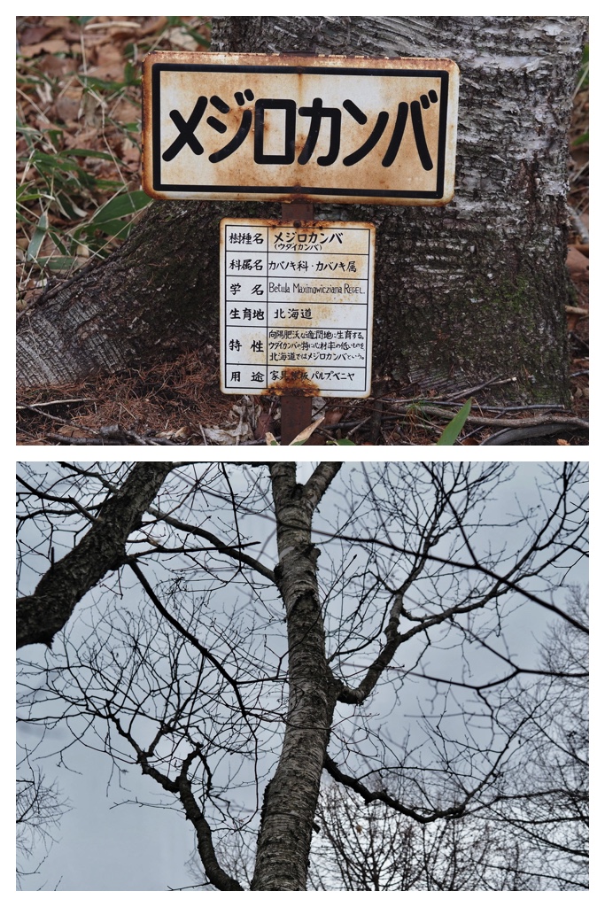 2250412_Kunimiyama_6