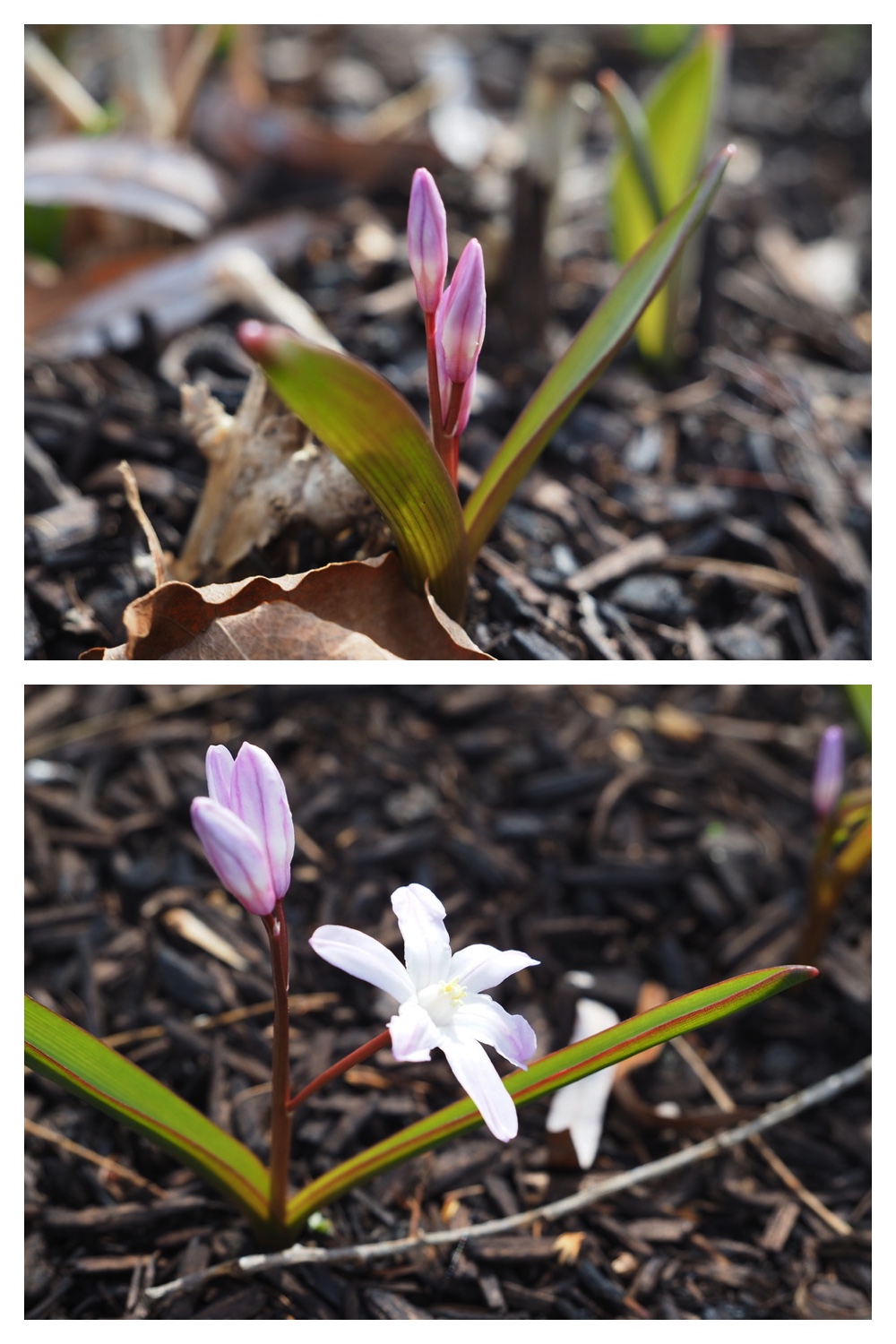 250422_Tokachi-Hills_14