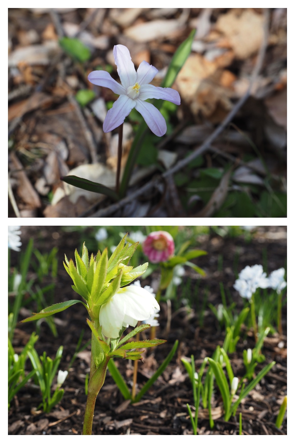 250422_Tokachi-Hills_15