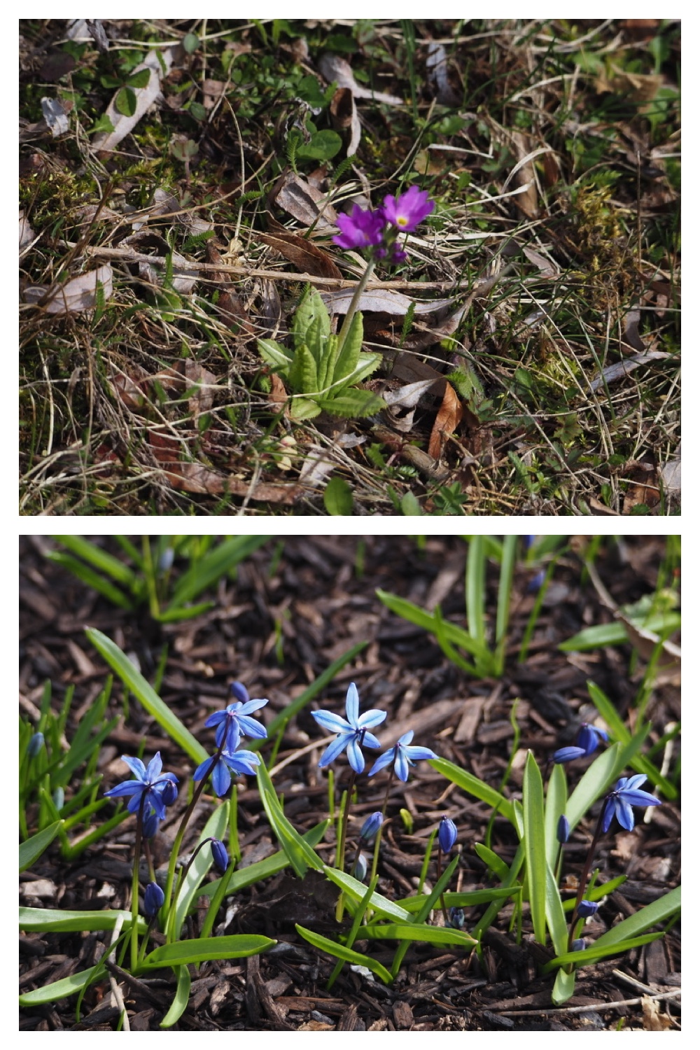 250422_Tokachi-Hills_19