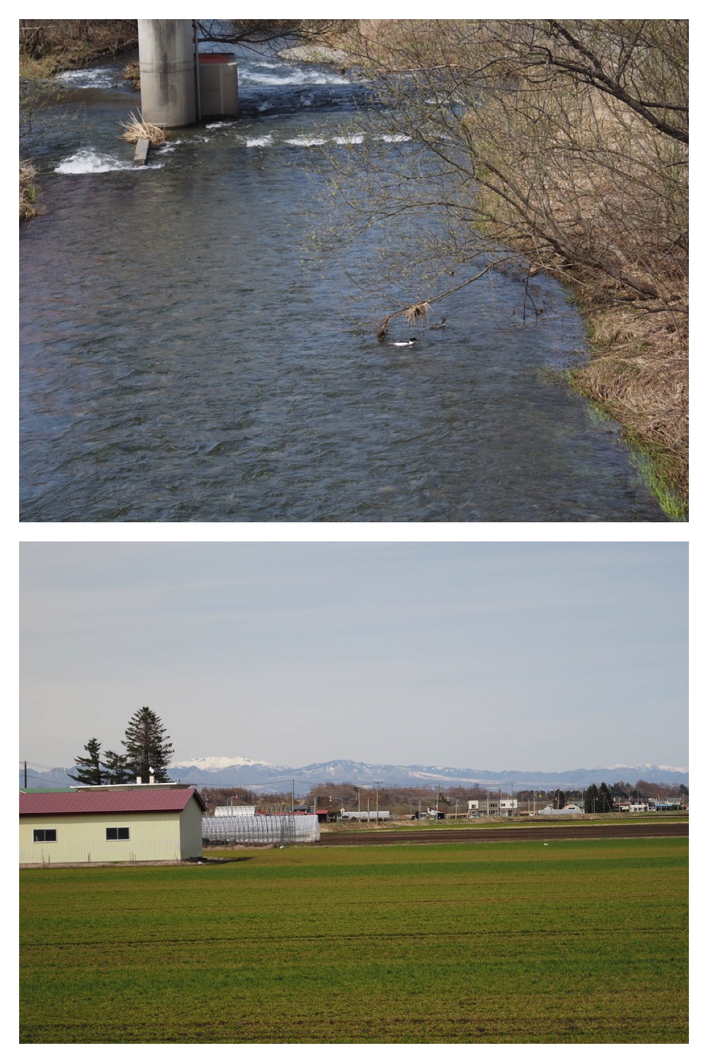 250422_Tokachi-Hills_2