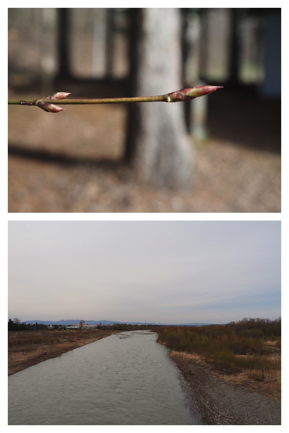 250422_Tokachi-Hills_28