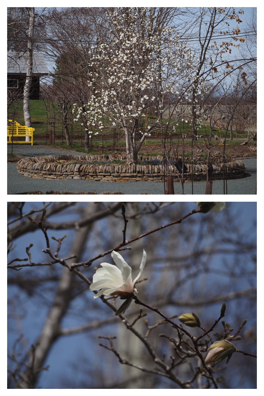 250422_Tokachi-Hills_8