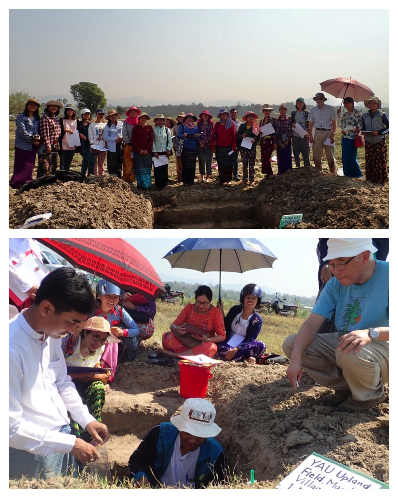 Yezin_2019-2020-3