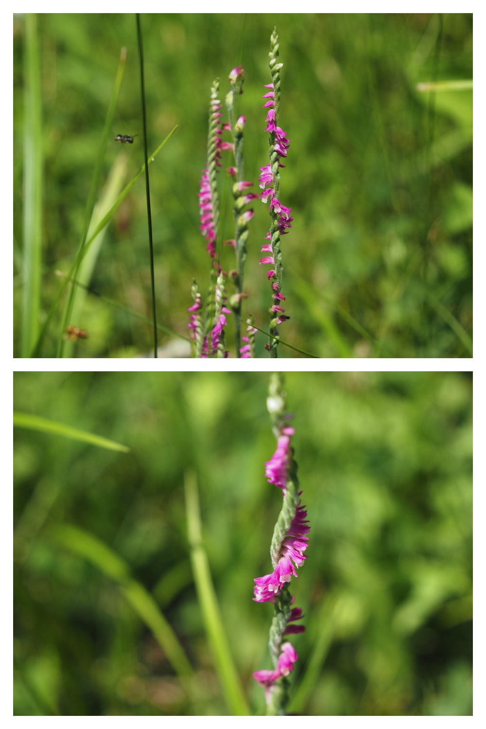 250803_Chou_23