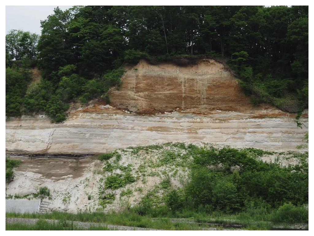 250621_Memuro-profile