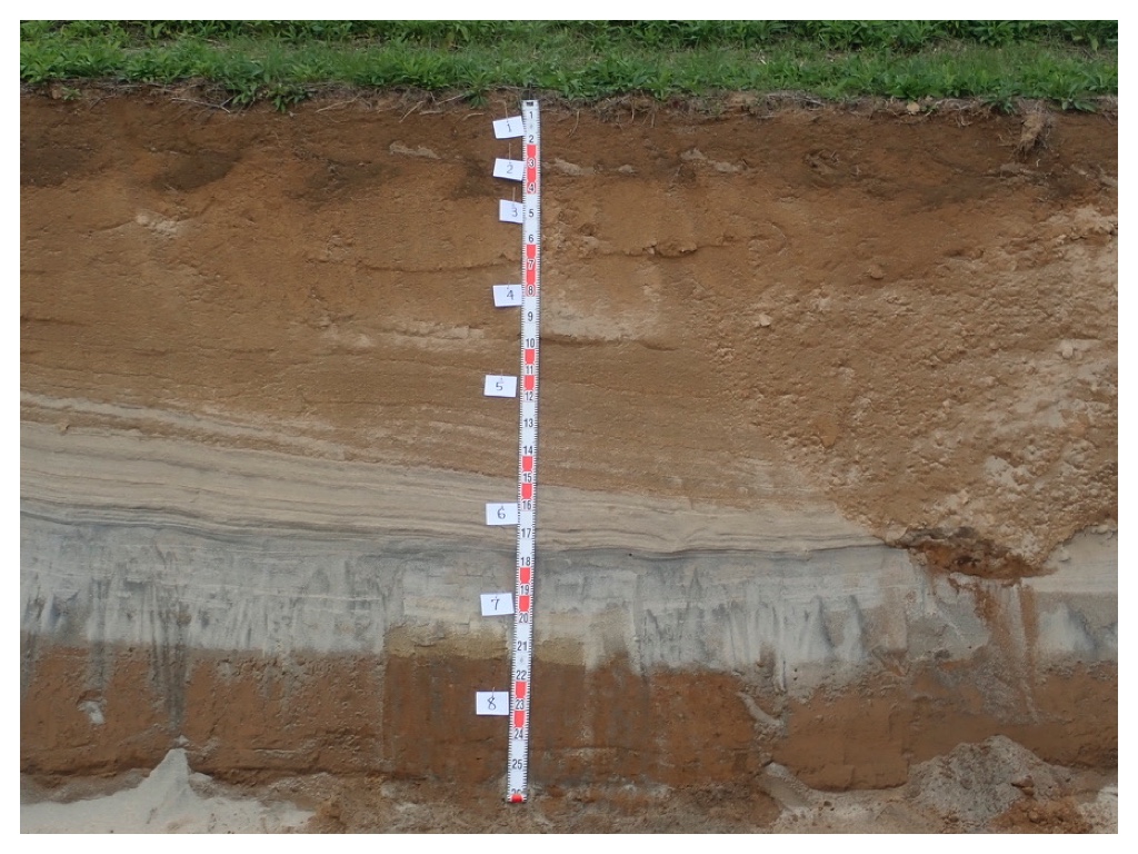 250920_Chikudai-east-profile