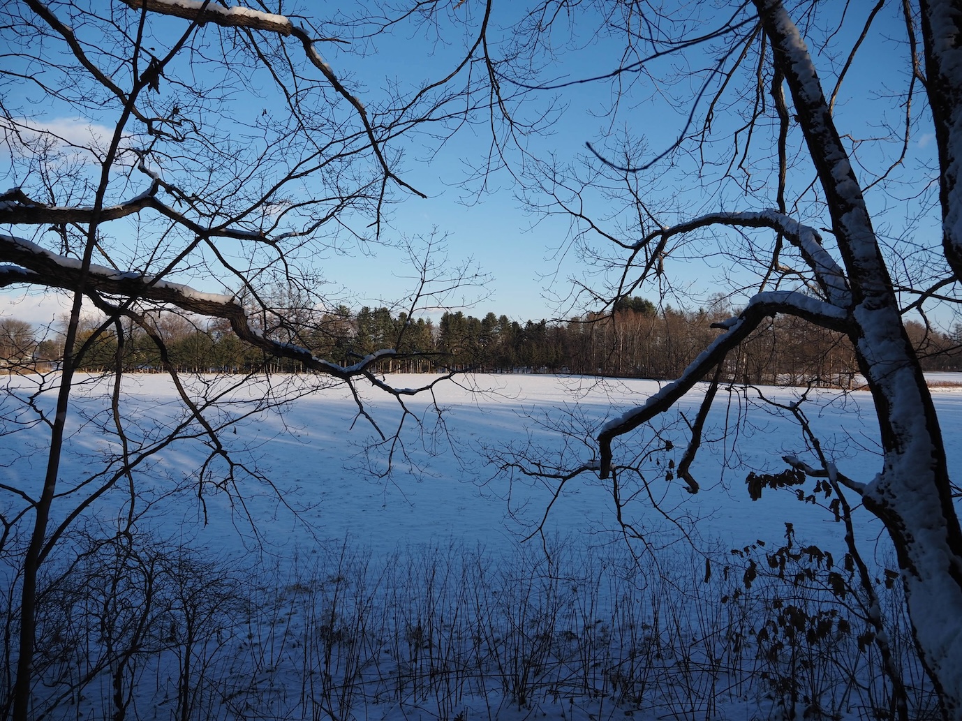 251204_First-snow_10