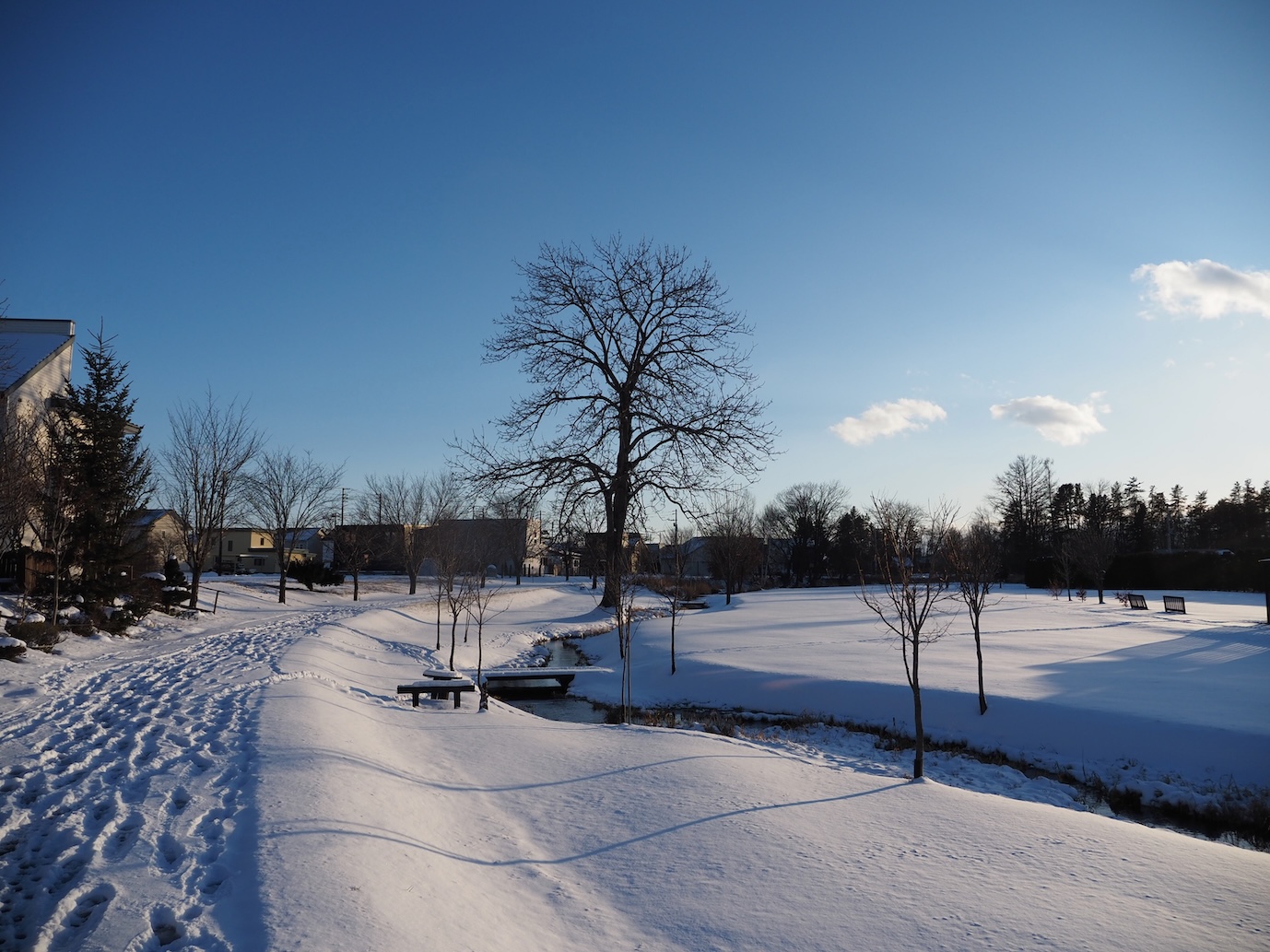 251204_First-snow_12