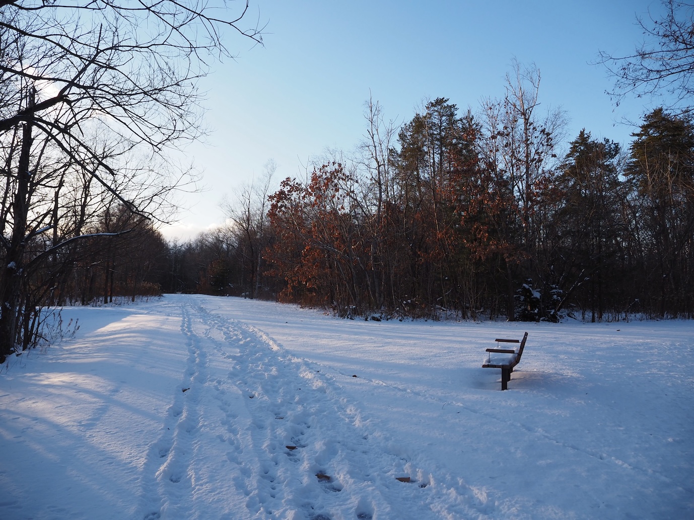 251204_First-snow_14