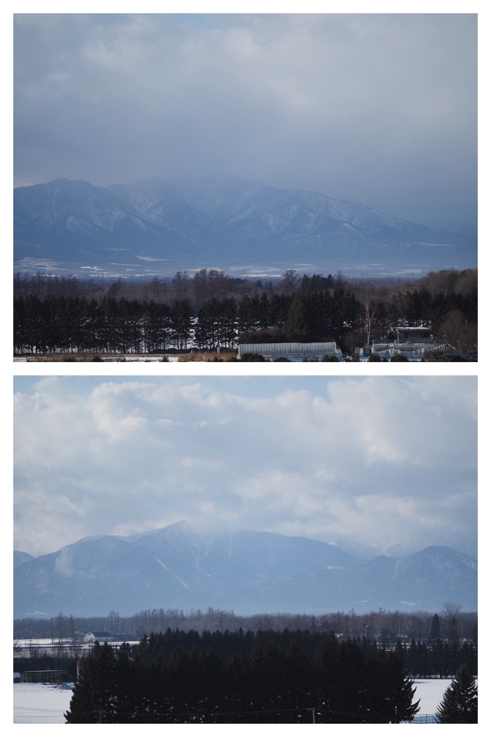 251207_Bird-survey_13