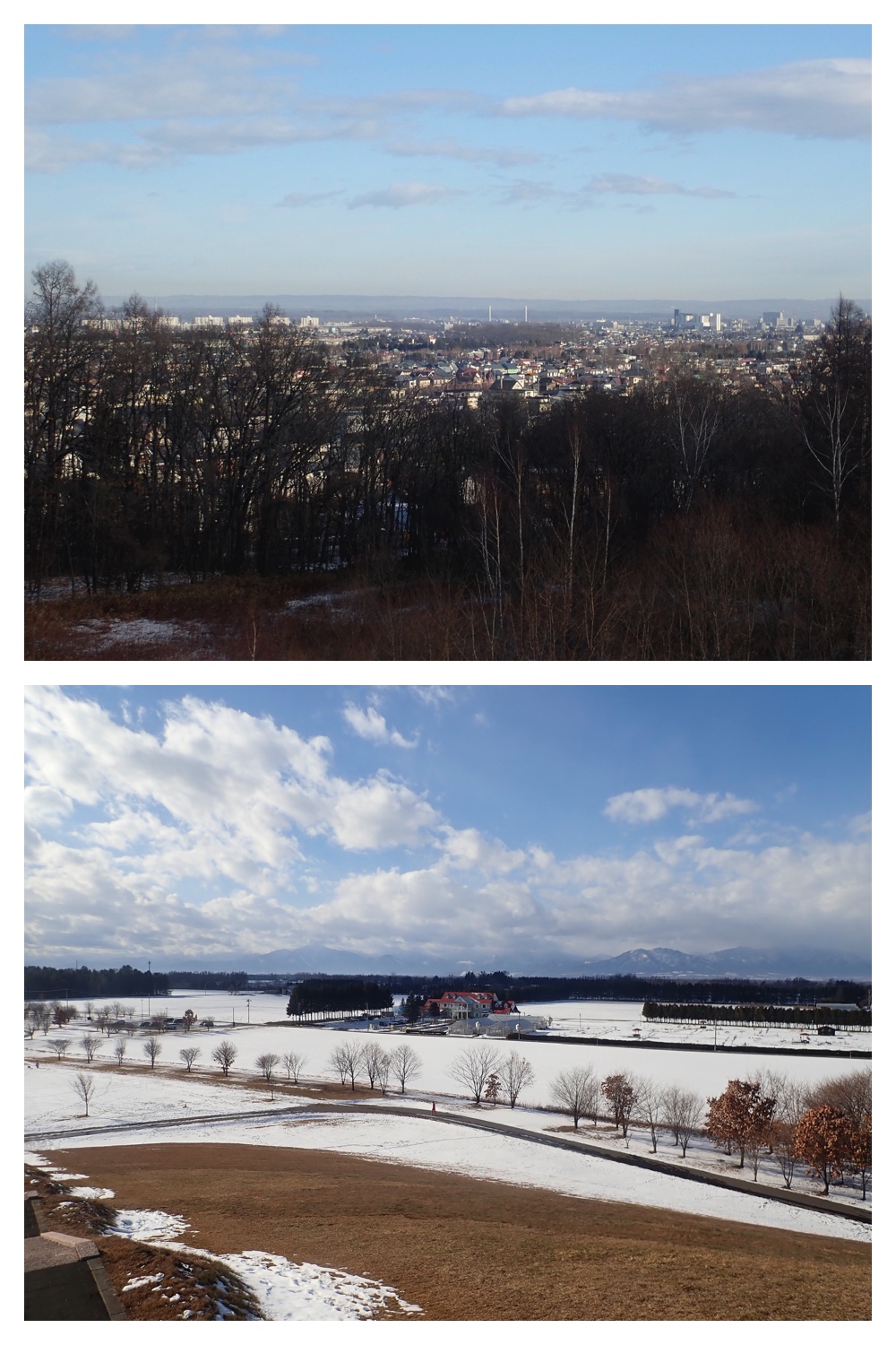 251207_Bird-survey_18