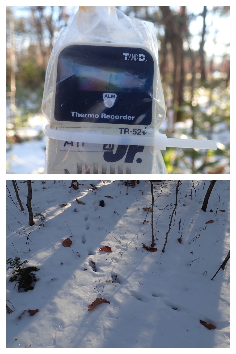 251207_Bird-survey_2