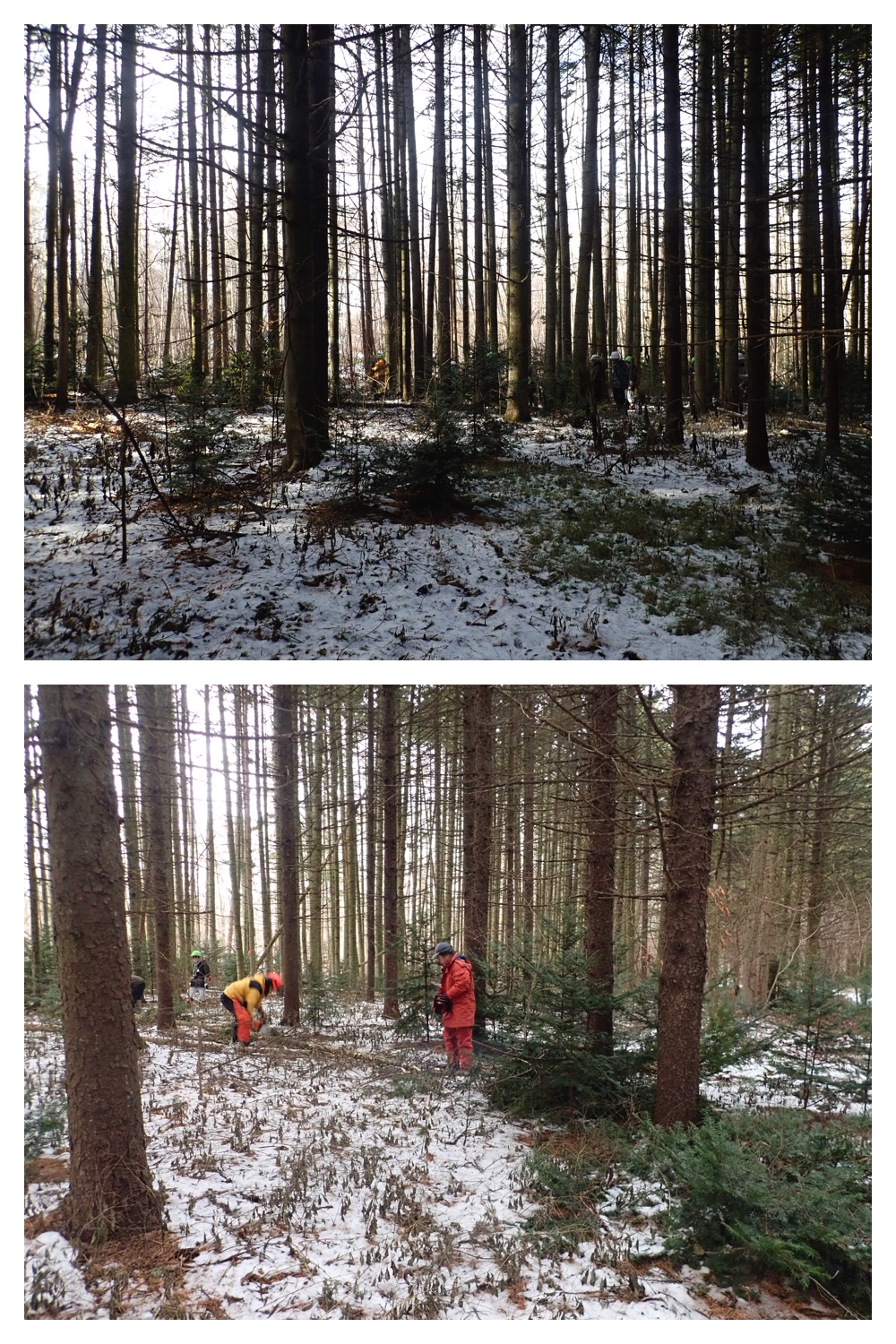 251207_Bird-survey_21