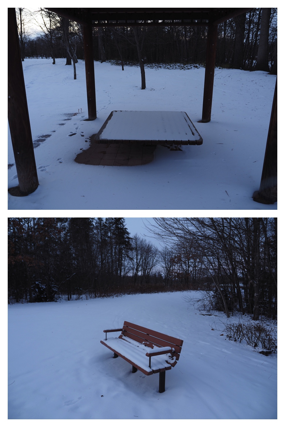 2251212_Evening-walk_13