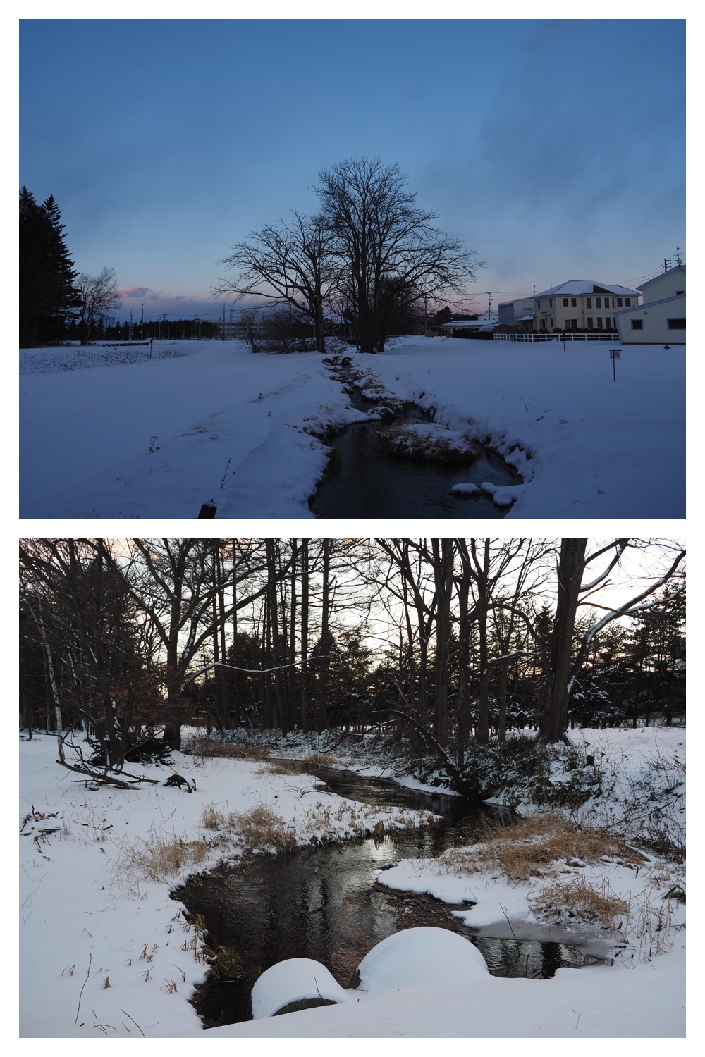 2251212_Evening-walk_8