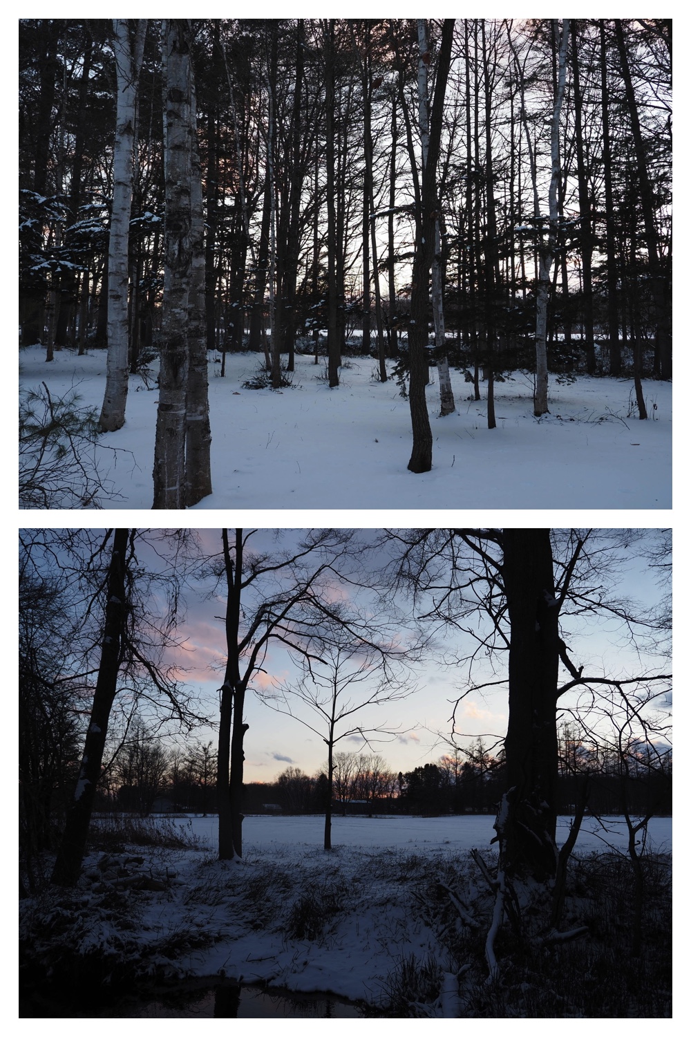 2251212_Evening-walk_9