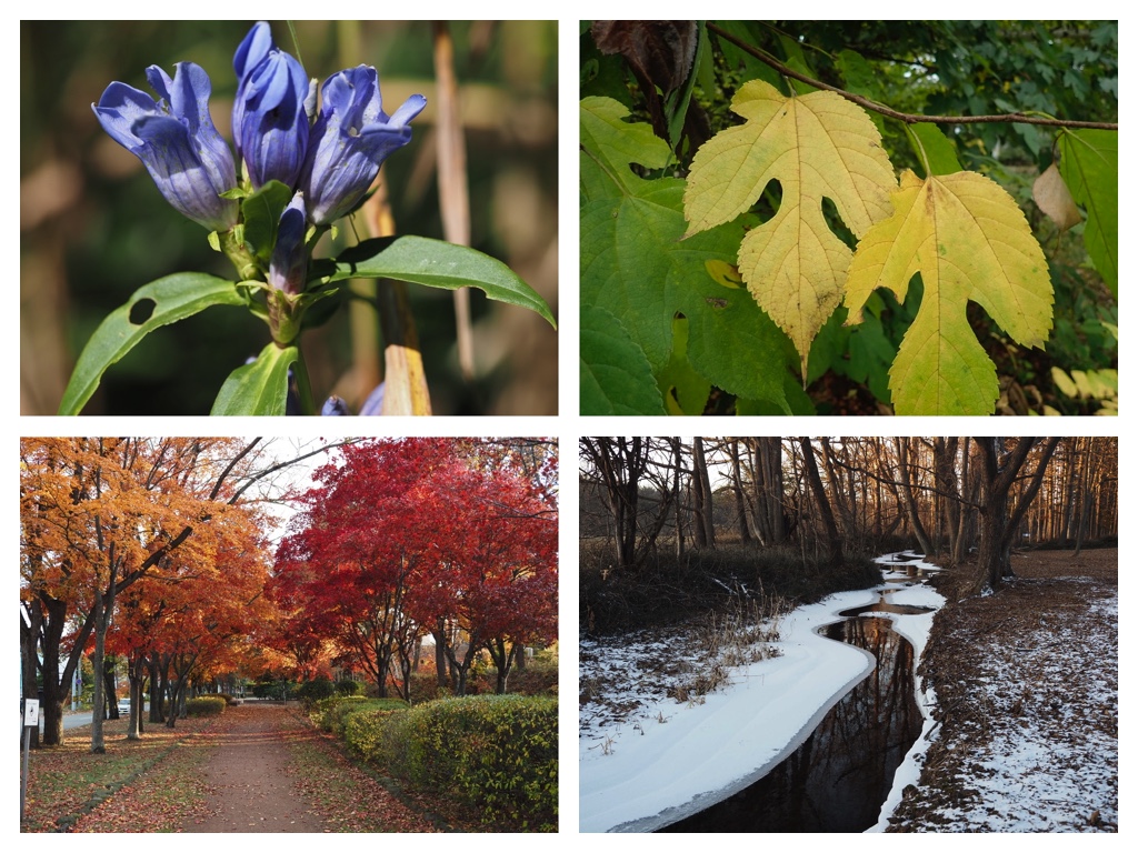 2025_Calendar-photo_9-10-11-12