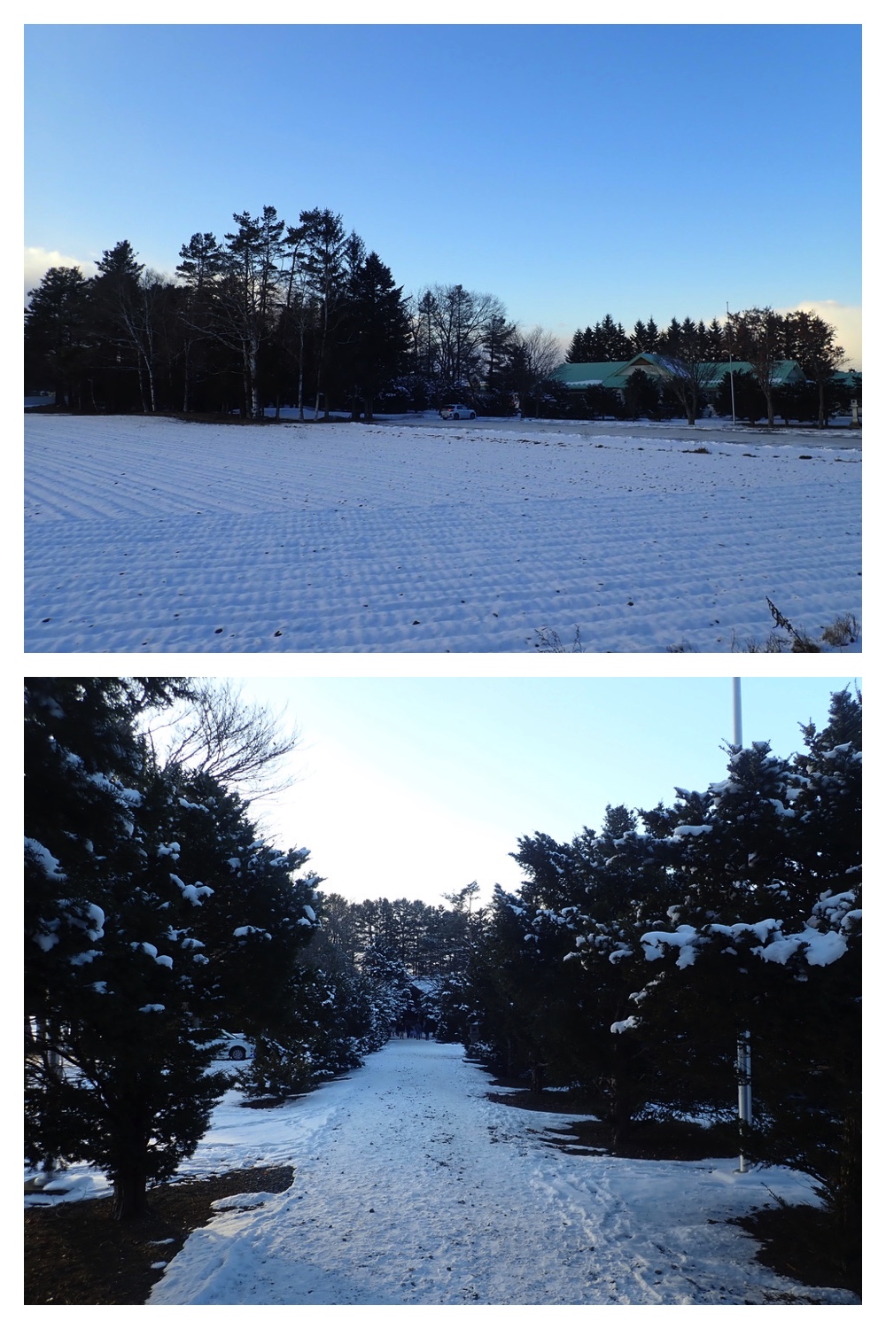 250102_Kawanishi-jinja_3